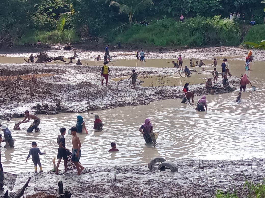 Semangat Idul Adha: Tradisi Berkarang di Tebat Koto Jayo Kembali Hidupkan Kebersamaan Warga Sungai Abang